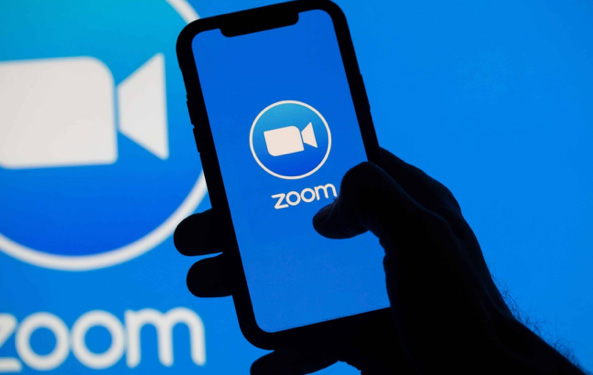 Treinamento via Zoom